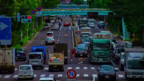 Автомобильная улица на проспекте Канпати в Токио, дневная съемка — стоковое видео