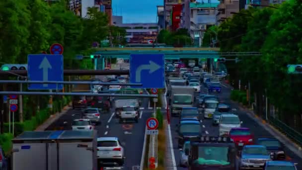 Timelapse ulicy samochodu na Kanpachi alei w Tokio dzienny szeroki strzał — Wideo stockowe