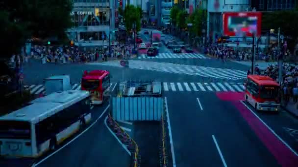 Zeitraffer bei Sonnenuntergang des Shibuya-Übergangs in Tokio — Stockvideo