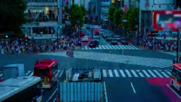 Un timelapse di tramonto di attraversamento di Shibuya in colpo largo di Tokio — Video Stock