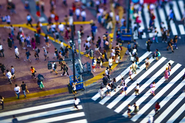 Attraversamento Shibuya a Tokyo tiltshift ad angolo alto — Foto Stock