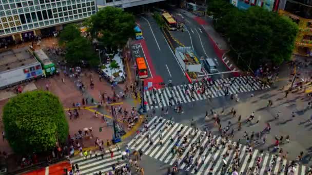 A timelapse at Shibuya crossing in Tokyo high angle wide shot — Stock Video