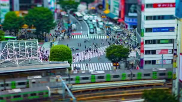 A timelapse at Shibuya crossing in Tokyo high angle tiltshift — Stock Video