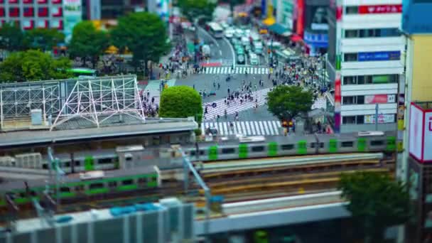 A TimeLapse a Shibuya átkelés Tokióban nagy látószögű TiltShift — Stock videók