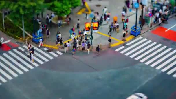 Un timelapse all'incrocio di Shibuya a Tokyo tiltshift ad alto angolo — Video Stock
