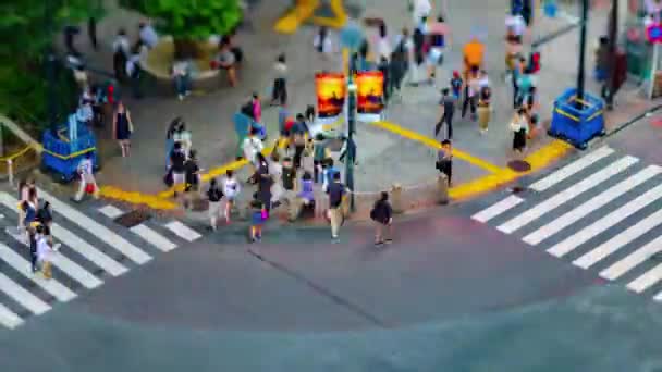 Un timelapse all'incrocio di Shibuya a Tokyo tiltshift ad alto angolo — Video Stock