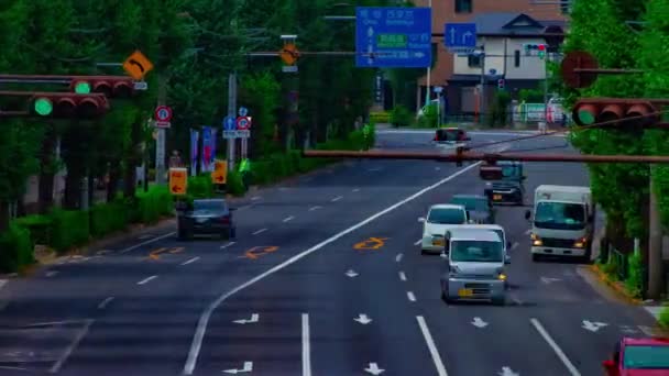 Uma timelapse da baixa da rua na avenida Oume, em Tóquio — Vídeo de Stock