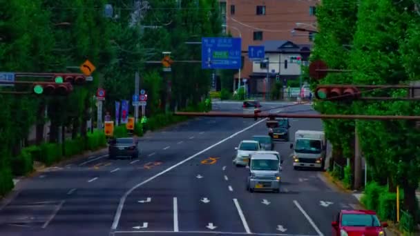 Un timelapse de la calle del centro en la avenida Oume en Tokio tiro largo diurno — Vídeos de Stock