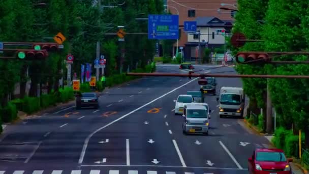 Dlouhý časový záběr na ulici v Oume v Tokiu — Stock video