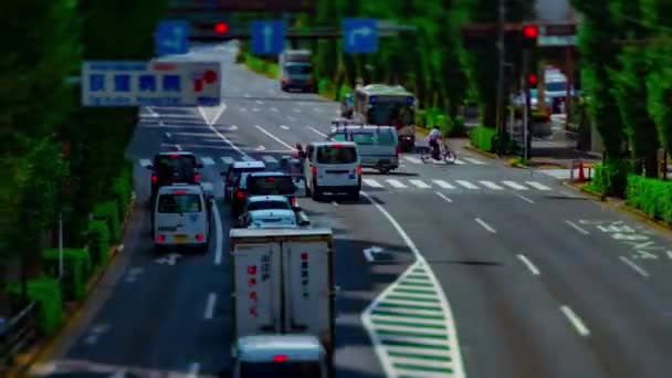A timelapse of downtown street at Oume avenue in Tokyo daytime tiltshift panning — Stock Video