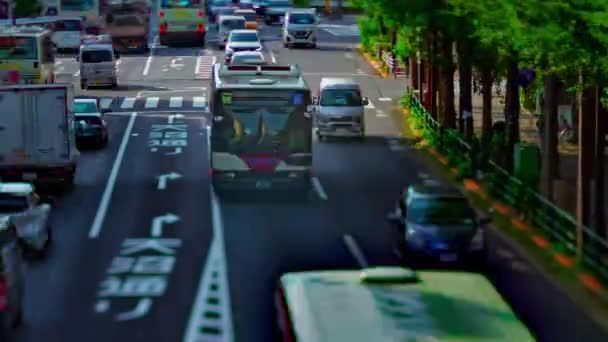 Ein Zeitraffer der Innenstadt Straße an der oume Avenue in Tokio tagsüber Kippschaltung Schwenken — Stockvideo
