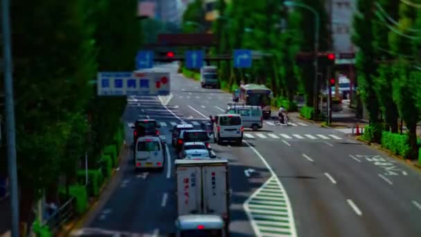 A timelapse of downtown street at Oume avenue in Tokyo daytime tiltshift tilt — Stock Video