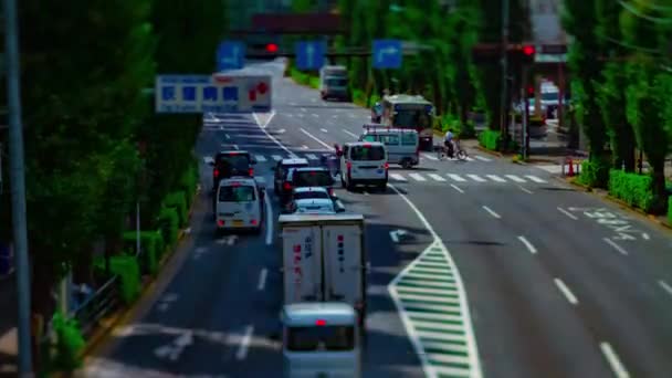 A timelapse of downtown street at Oume avenue in Tokyo daytime tiltshift tilt — Stock Video