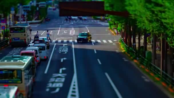 Timelapse ulicy w centrum w Oume Avenue w Tokio w ciągu dnia Tiltshift — Wideo stockowe