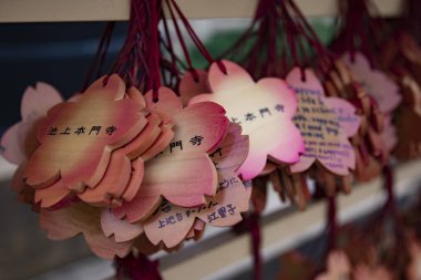 Tokyo closeup Ikegami honmonji tapınağında Adak tabletleri