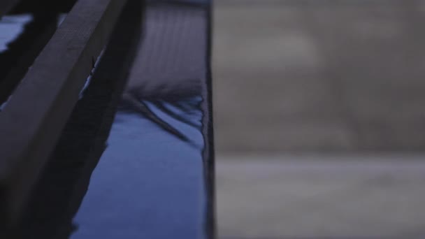 東京の池上本門寺の浄化トラフ — ストック動画