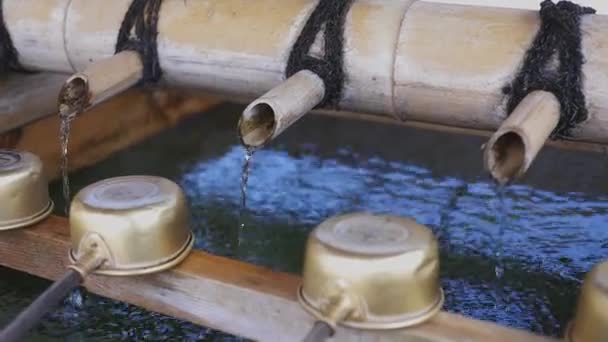 Calha de purificação no templo de Ikegami honmonji em Tóquio — Vídeo de Stock