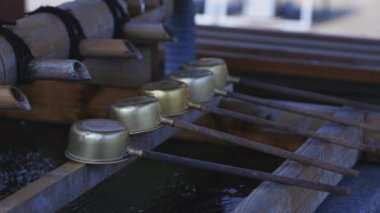 Tokyo'daki Ikegami honmonji tapınağında arınma yalak