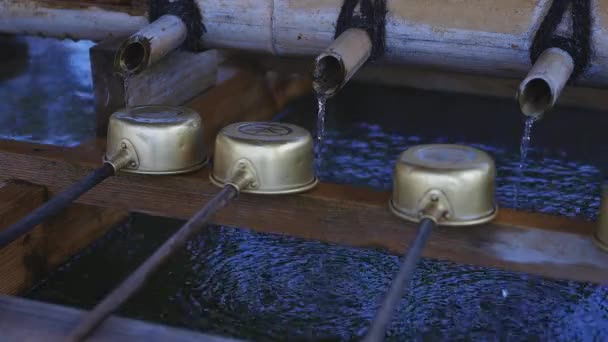 Trogolo di purificazione al tempio di Ikegami honmonji a Tokyo — Video Stock