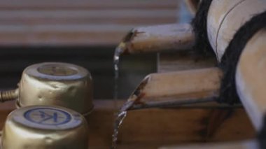 Tokyo'daki Ikegami honmonji tapınağında arınma yalak