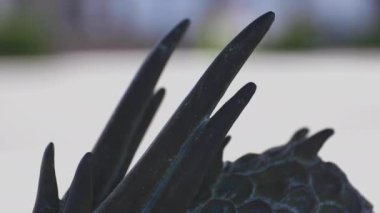 Tokyo'daki Ikegami honmonji tapınağında arınma yalak