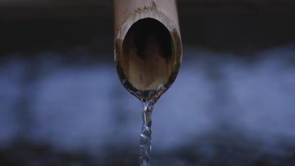 Calha de purificação no templo de Ikegami honmonji em Tóquio — Vídeo de Stock