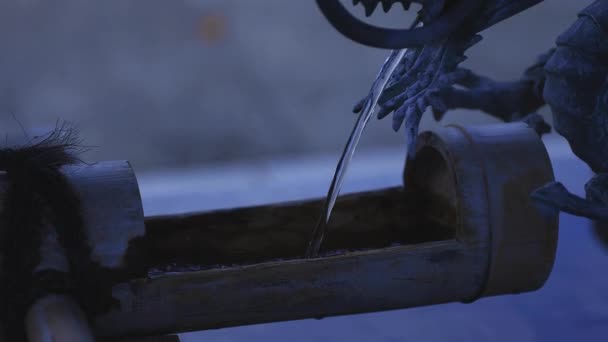 东京池木寺的净化槽 — 图库视频影像