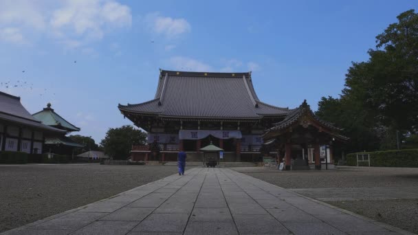 Tempio principale a tempio di honmonji di Ikegami in colpo largo di Tokio — Video Stock