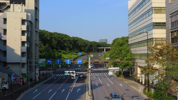 En Downtown Street på Inokashira Avenue i Tokyo dagtid wide shot — Stockvideo