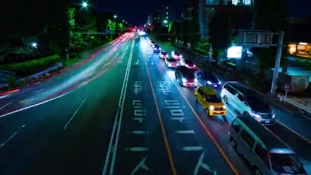 Ein nächtlicher Zeitraffer der Stadtstraße in der Innenstadt in setagaya tokyo wide shot — Stockvideo