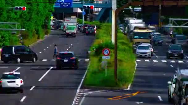 Tokyo gündüz uzun atış Kanpachi caddesinde şehir caddesi bir timelapse — Stok video