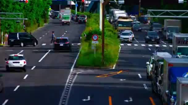 Uma timelapse da baixa da rua na avenida Kanpachi, em Tóquio — Vídeo de Stock