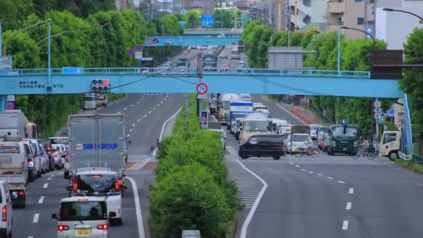 Una strada del centro di Kanpachi Avenue a Tokyo diurna — Video Stock