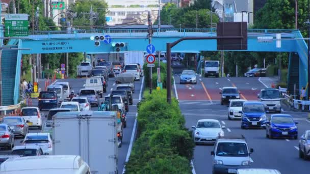 Een Downtown Street aan Kanpachi Avenue in Tokio overdag — Stockvideo