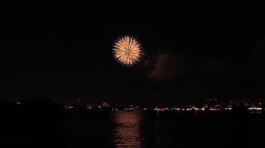 Tokyo'da Edogawabashi nehri yakınlarında havai fişek