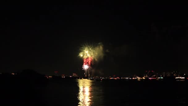 Fogos de artifício perto do rio Edogawabashi em Tóquio — Vídeo de Stock