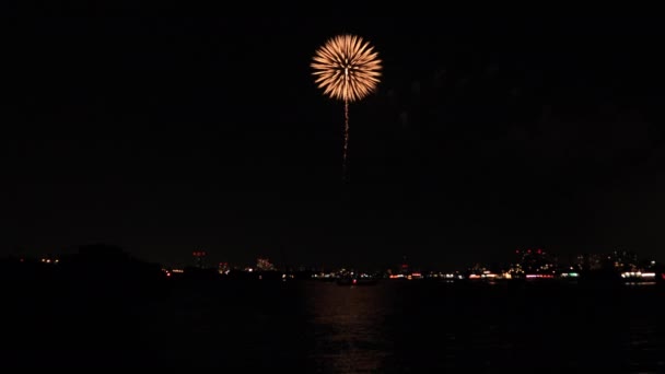 Fuochi d'artificio vicino al fiume Edogawabashi a Tokyo — Video Stock