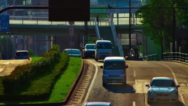 Хронометраж зеленой улицы рядом с парком Ёёги в Токио, дневная панорама — стоковое видео
