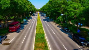 Tokyo 'da gündüz vakti Yoyogi parkının yanındaki yeşil caddenin zaman çizelgesi.