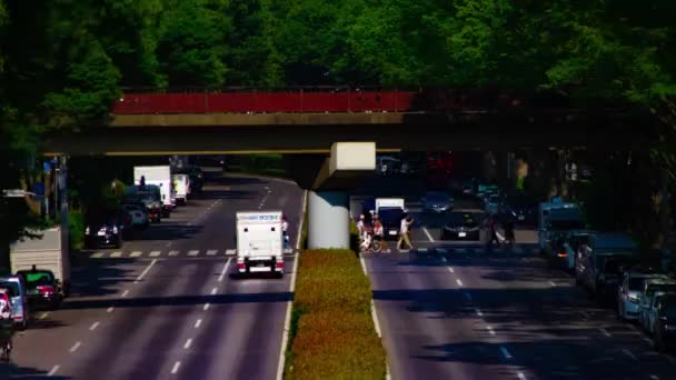 Un timelapse di strada verde vicino al parco Yoyogi a Tokyo diurna panning long shot — Video Stock