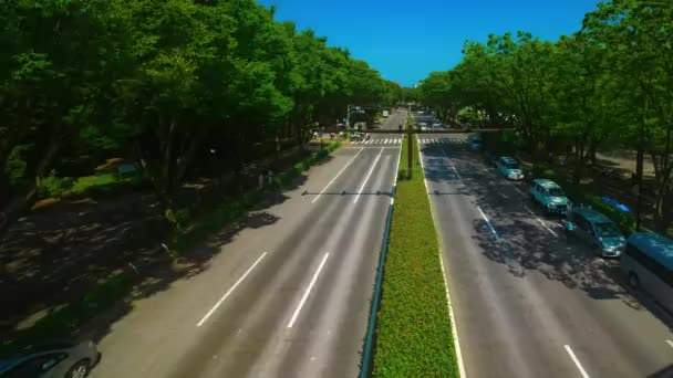 Un timelapse de rue verte près du parc Yoyogi à Tokyo plan d'ensemble diurne — Video