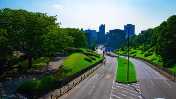 Timelapse zielonej ulicy obok Yoyogi parku w Tokio dzienny szeroki strzał — Wideo stockowe