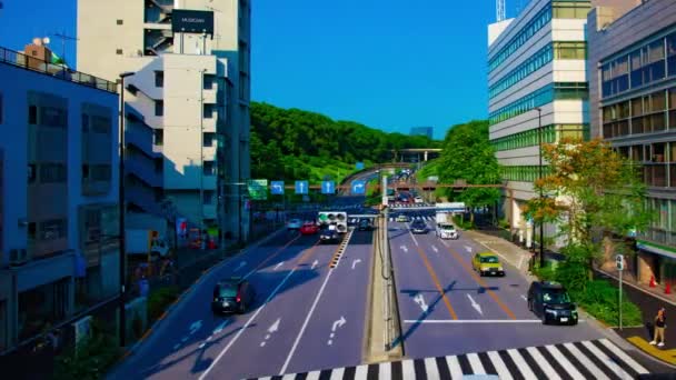 En timelapse av grön gata nära Yoyogi park i Tokyo dagtid bred skott — Stockvideo