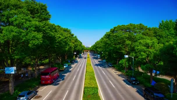 Uma timelapse de rua verde perto do parque Yoyogi em Tóquio — Vídeo de Stock