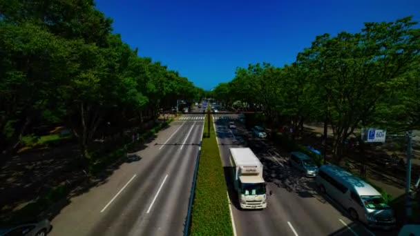 Un timelapse di strada verde vicino al parco Yoyogi di Tokyo — Video Stock