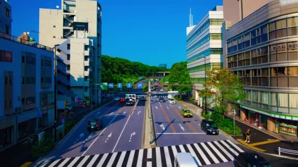 Sebuah timelapse hijau jalan dekat Taman Yoyogi di Tokyo siang hari tembakan lebar — Stok Video