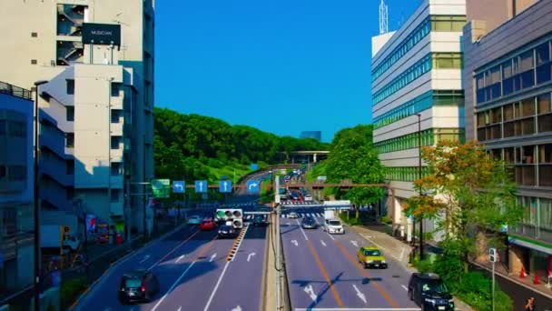 Un timelapse de rue verte près du parc Yoyogi à Tokyo plan d'ensemble diurne — Video