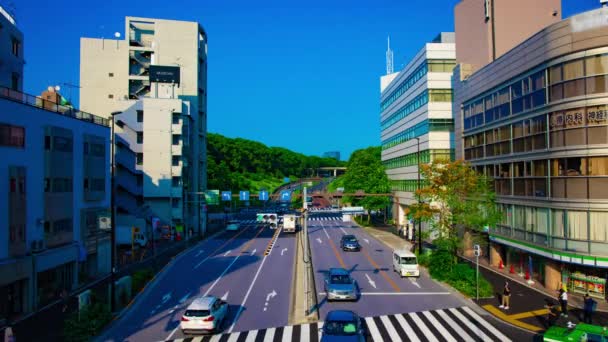 도쿄에 있는 요기 공원 근처의 청록색 거리의 시간 당거리는 낮 시간에 넓은 샷 — 비디오