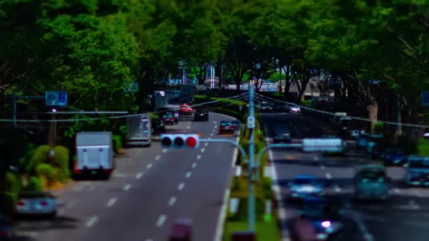 Un timelapse di strada verde vicino al parco Yoyogi a Tokyo di giorno tiltshit — Video Stock