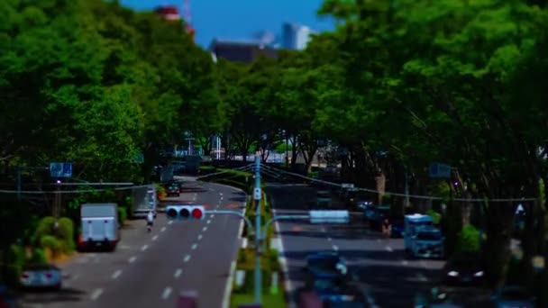 Un timelapse de rue verte près du parc Yoyogi à Tokyo tiltshit diurne — Video